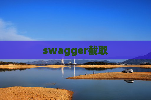 swagger截取